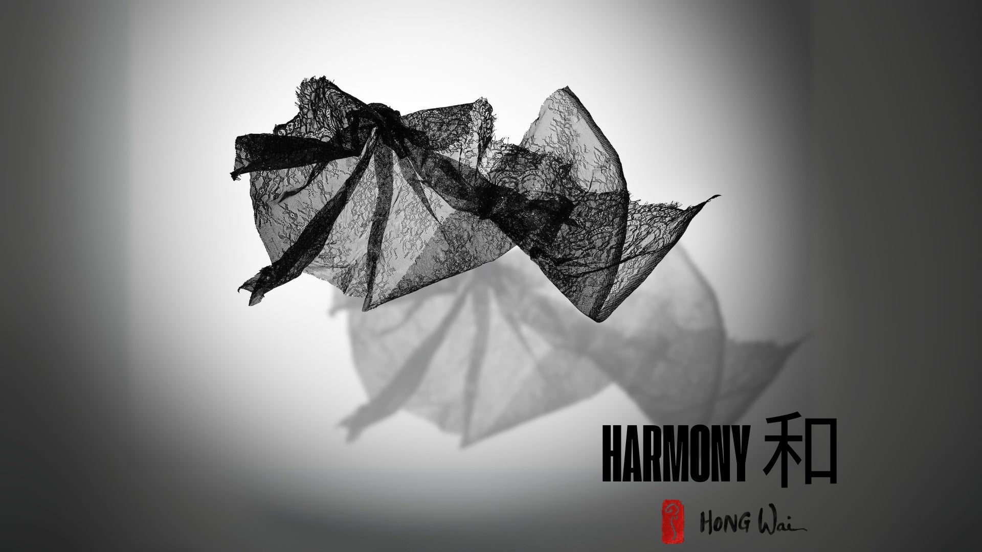 Hong Wai 洪慧: Lace Calligraphy Landscape Installation (天.時.地.利.人.和 – 蕾絲書法山水裝置)