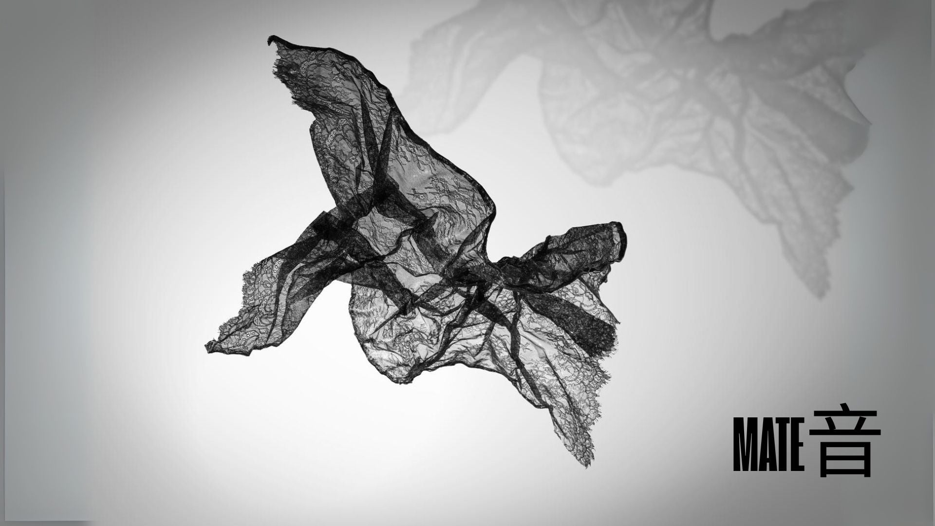 Hong Wai 洪慧: One Life One Dream "Soul Mate (知音)"